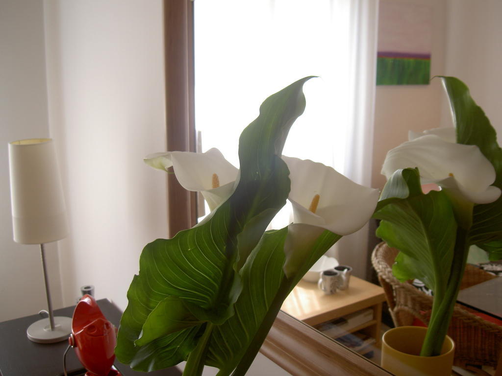 A Casa Romar Bed & Breakfast Torino Eksteriør bilde